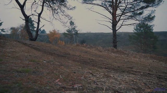Поля становятся бесконечными под каждую ноту - Sound N Fury -- LOPKERJO -- FATE