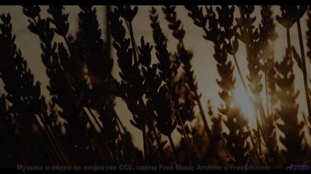 Он настолько прекрасен, что хочется плакать от счастья! - Swimming In The Clouds -- Kirk Osamayo --