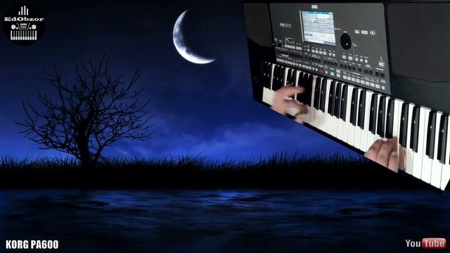 _Берега_ - KORG PA600 [Александр Малинин]