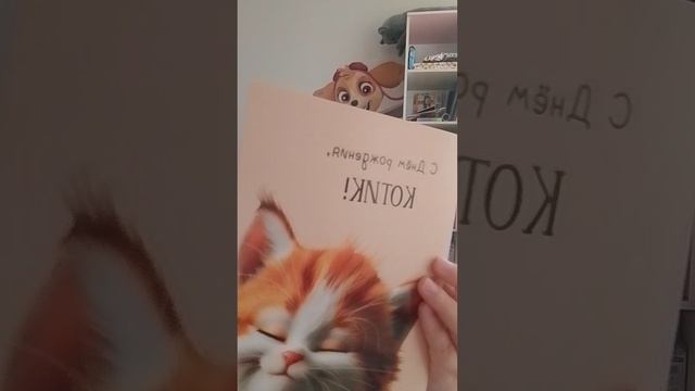 это полный треш...