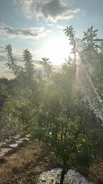 Ты живой и настоящий, если тебе красиво от этого капель воды на солнце♥️