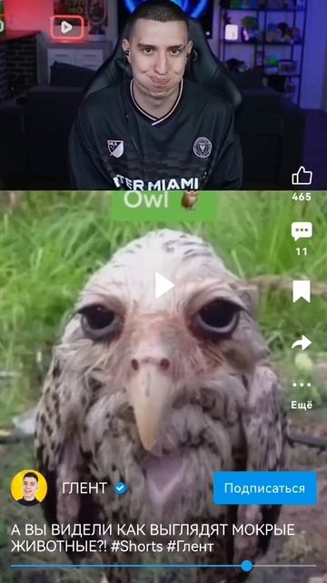 Всё моё настроение(не правда)