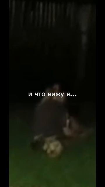 1000028006.mp4