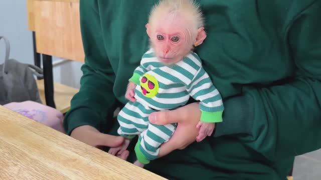 Обезьянка крошка БУКАШКА позвала с мамой едут в ресторан Едят вкусняшки ПРИЯТНАЯ ИСТОРИЯ