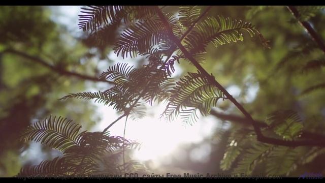 Когда деревья шепчут, а музыка подпевает! - Never Long (Time Goes By) -- Sahara Sky -- Escapism