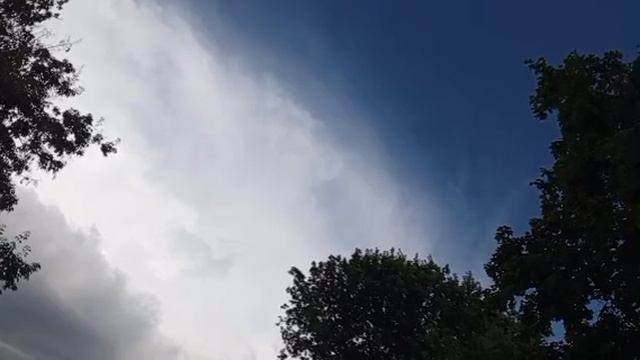 1000008439.mp4