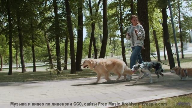 Этот клип - как объятие, в котором хочется остаться навсегда! - Всё или ничего -- POVALISHIN DIVISIO