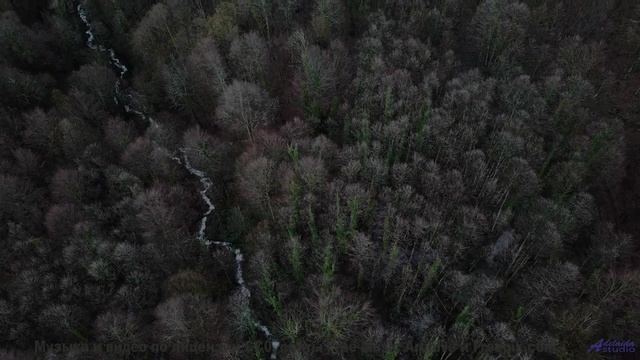 Сердце выскакивает, когда поля оживают вместе с музыкой - Pride -- Ketsa -- The New World