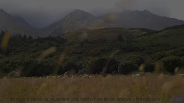 Ты НЕ СМОЖЕШЬ выключить это видео! - Boward Heal -- New Millennium String Ensemble -- NMSE 2