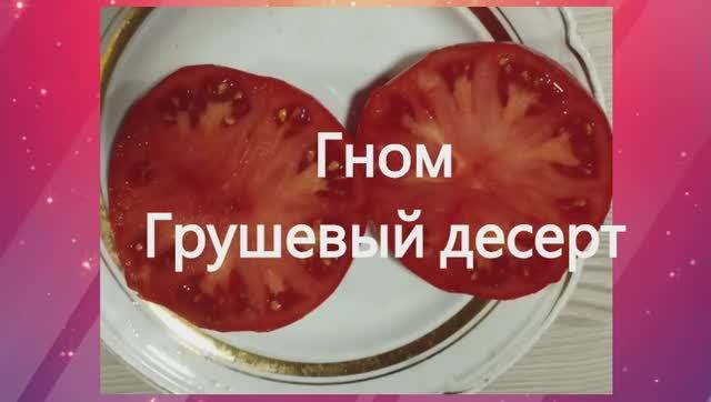 Гномы томатные. Каталог 2024 года и обзор томатных гномов. г. Киров