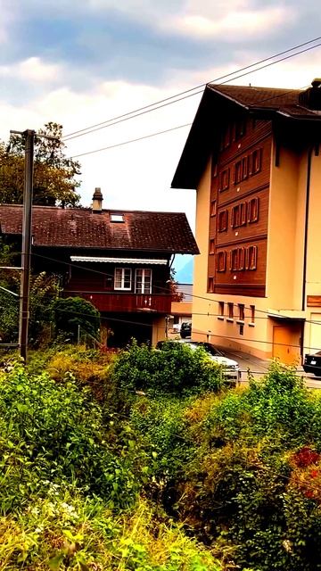 В объективе — настоящее волшебство