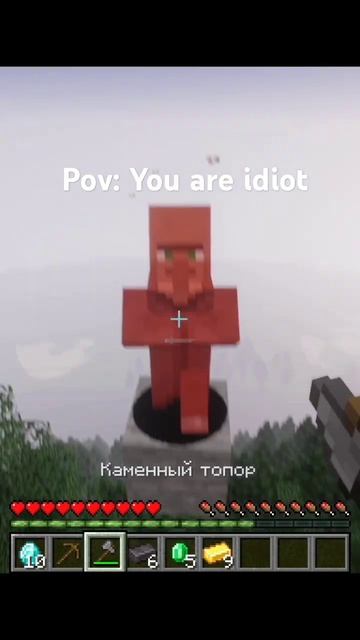 pov: you are idiot minecraft
