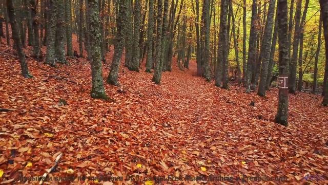 Эти кадры с музыкой - мощнее любого релакса - 20 Minute Meditation 8 -- HoliznaCC0 -- Space - Sleep