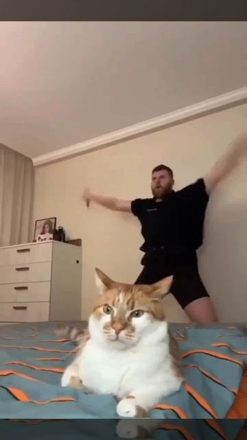 Хозяин, что с тобой?😂