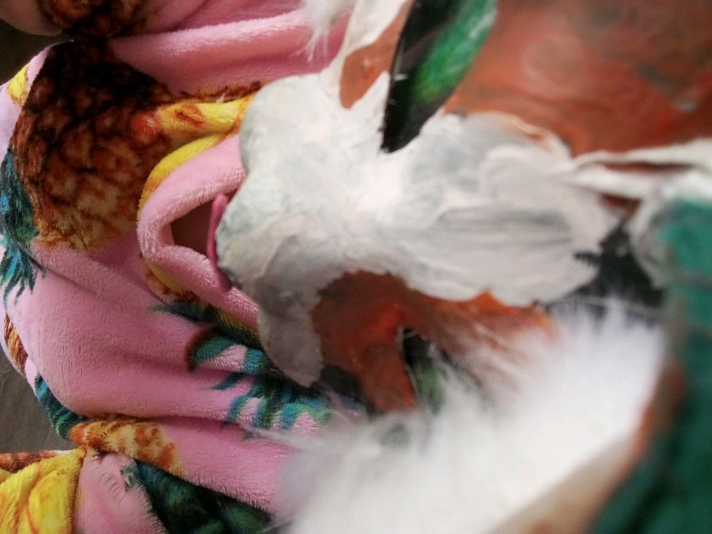 собрание твикси