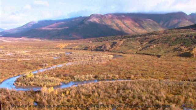Это видео - как сон, в который не хочется просыпаться! - Carefree Morning -- Scott Holmes Music -- I