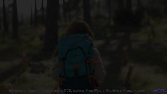 Романтика бесконечного шоссе и одного общего пледа на сиденье - Garbage Removal (ID 724) -- Lobo Loc
