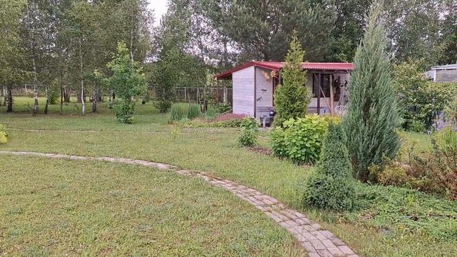 Нам не угодить))) Разговорчивый пес. А что это они не скипят)))