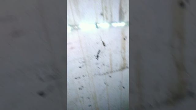 Оторвали выхлопную трубу на Вольво