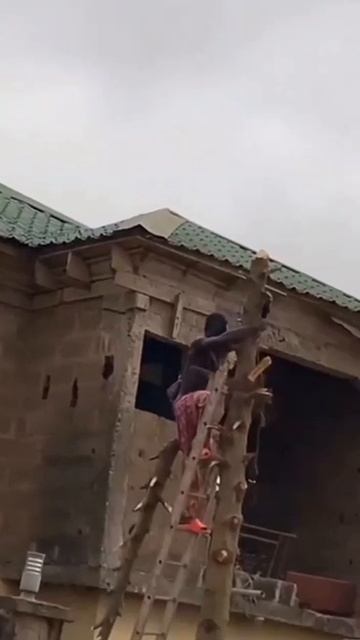 Дерево решило не сдаваться без боя👍