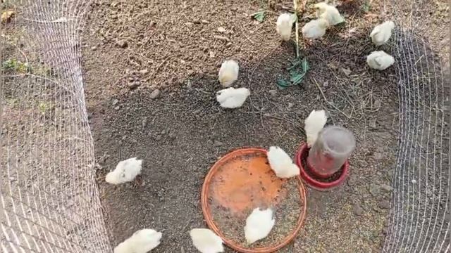 Лето,ах лето//Мои вязалки🧶