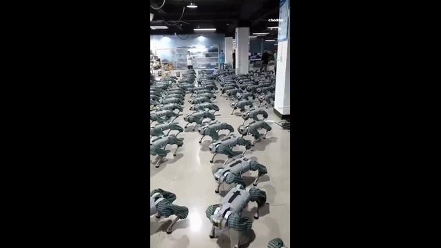 Тестирование на заводе роботов - 2024 год