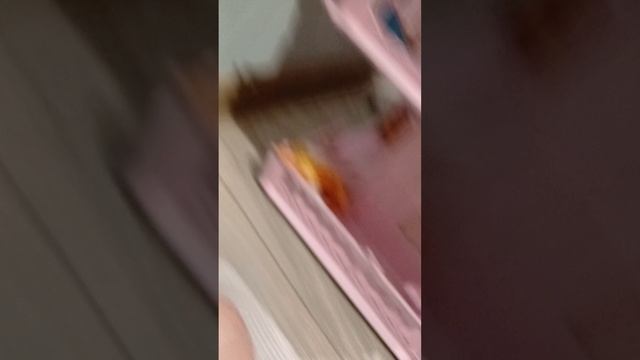 приют 2 мишка