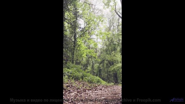 Лес под таким звуком кажется бесконечным и живым - 05 Following-the-Crowd -- Ketsa -- Nothing Left B