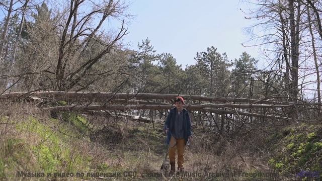 Эта мелодия заставит ваше сердце таять - осторожно! - Swirl Me in Your Mind -- Ayla Nereo -- Play Me