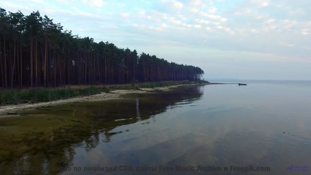 Что на самом деле происходит в этом лесу Это невероятно! - Stay-With-Me -- Ketsa -- Summer With Soun