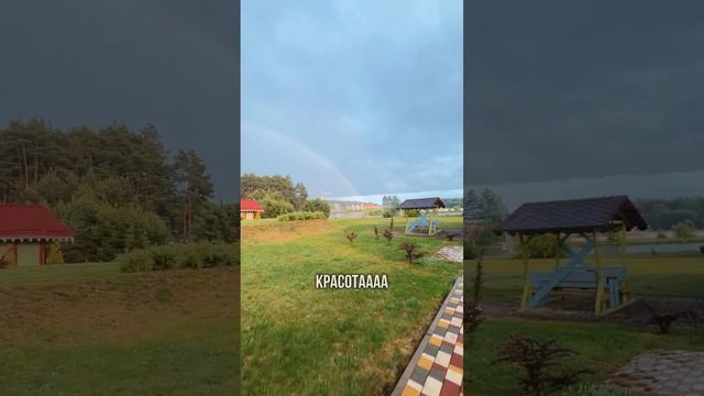 Как мы отпраздновали ДР Талиса 🥳