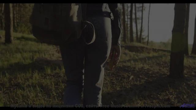 Кадры природы, которые вдохновят на подвиги - смотрите! - Undone -- Bus Window -- Flying High