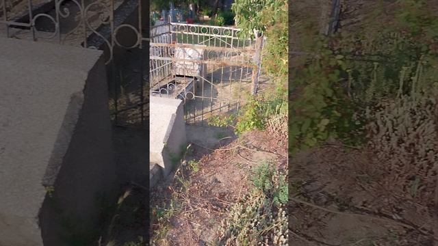 молитва для изгнания демона дьявола скачать, священный сосуд бездомный бог, сонник борьба злая