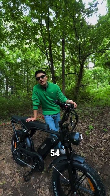 saige-Ebike