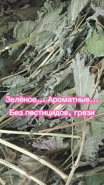 ЗАГОТОВКИ ОТ КОТОРЫХ ШИНШИЛЛЫ СХОДЯТ СУМА|ДЕЛАЕМ САМИ
