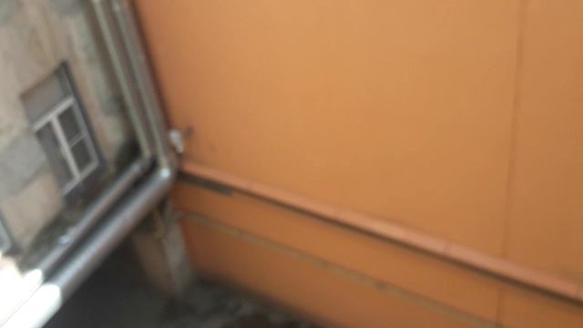 шумы ,запахи ,комары  ,лето в городе чудесно