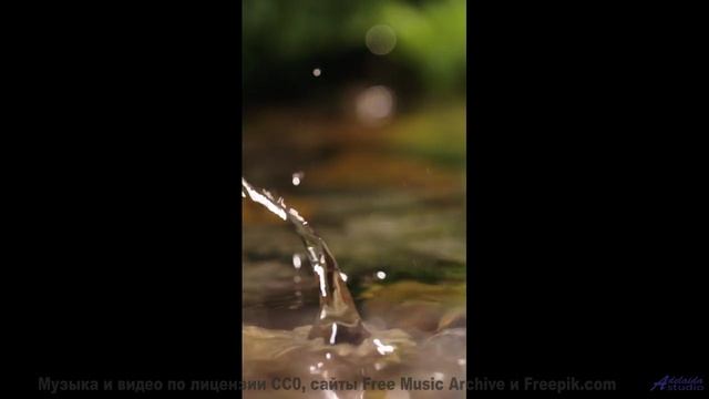 Камера летит над полями, музыка бьёт по сердцу - Ill Be Waiting -- Double-F the King -- Fillins