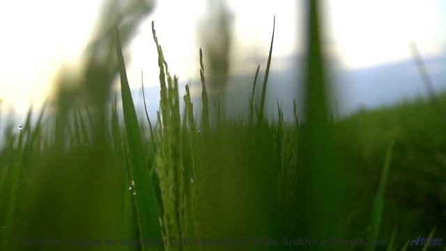 Река, которая ведёт в другое время! - Lowest Face -- Derek Clegg -- Man on the Run