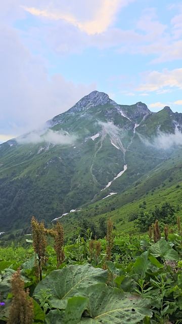 Красота в горах Краснодарского края