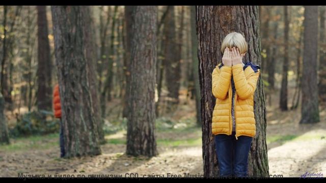 Эти кадры с музыкой - мощнее любого релакса - Dalyla -- Mello C -- Concept Beats Vol. 6- Lomuvaru