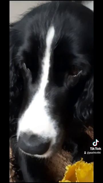 1000023409.mp4