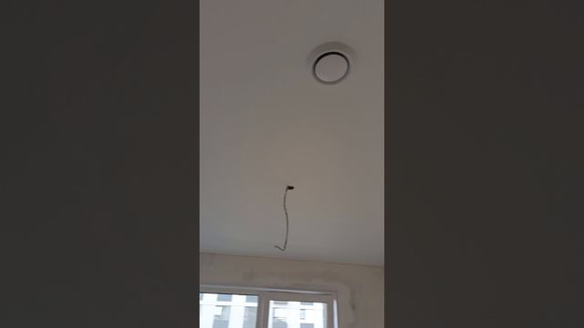1000028654.mp4