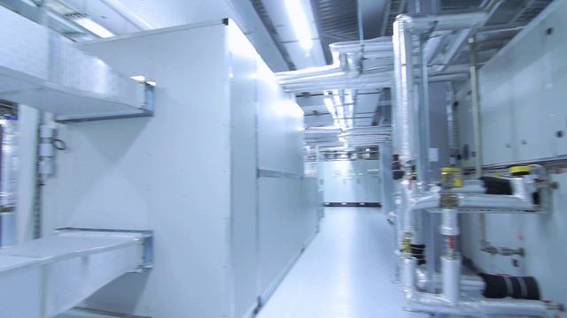 6037204_Plant_Interior_1920x1080