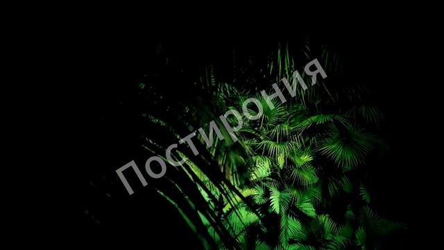 Animation VIDEO №11