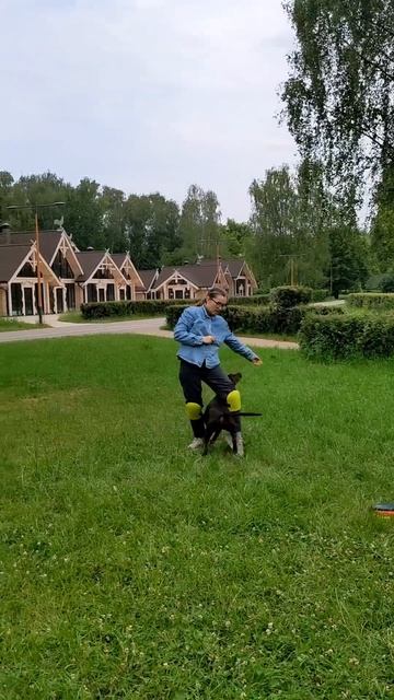 Спортивный Метис Нэтта - опорный прыжок без ловли диска