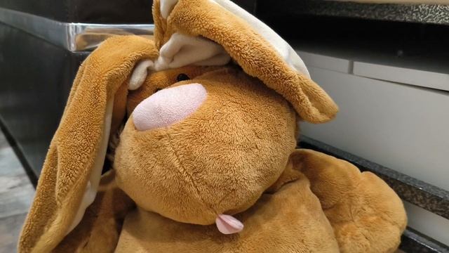 1000006577.mp4