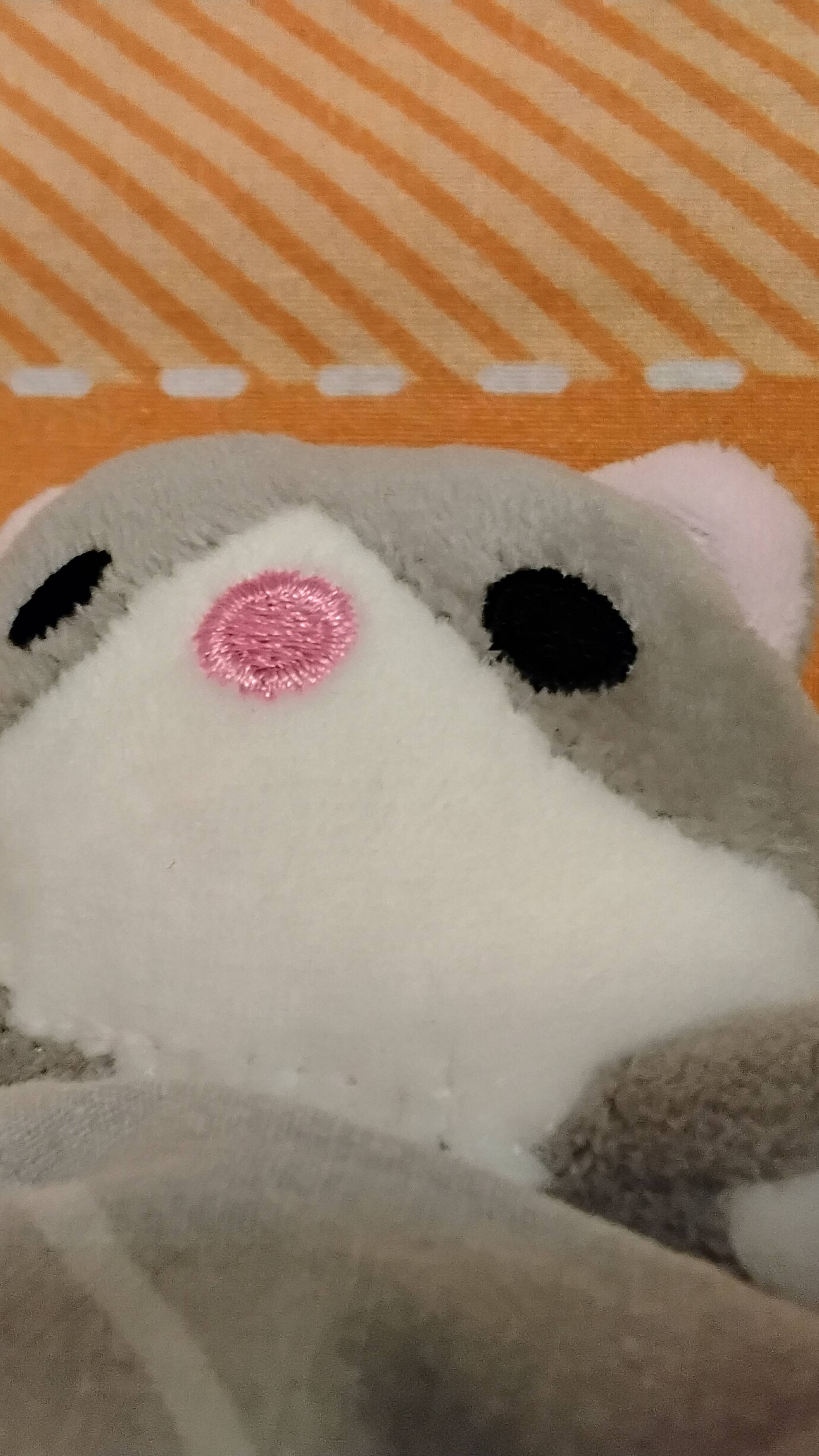 Кот батон