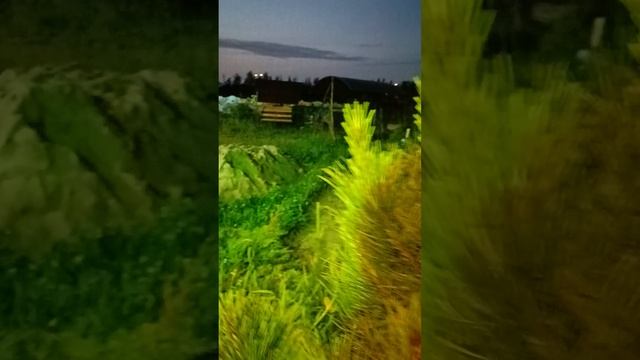 Русская Баня Беседки Мангальная зона Горячий Чан Пруд Водопад Фонтан качели холо купель Teremok78.ru