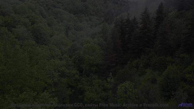 Леса качаются, как море, под такую мелодию - The Future Is Ours -- Scott Holmes Music -- Inspiring B