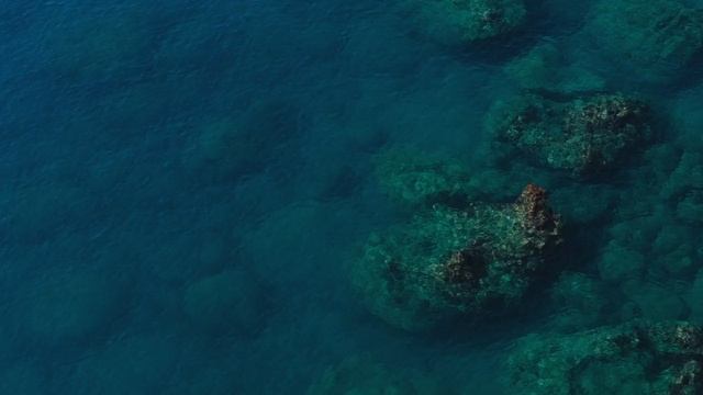 Красота под водой ч22